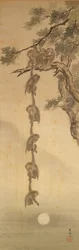 A Hold elérni próbáló majmok, Edo-korszak (1603-1867)